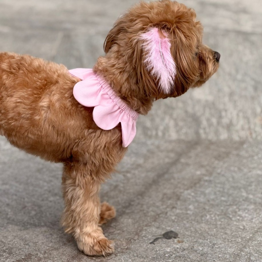 El Yapımı Köpek Yakalığı – PawBow Flower Dog Collar  (BabyPink) - El yapımı tasarım aksesuar ve lüks hediye alternatifi 2 | Rosano Studio