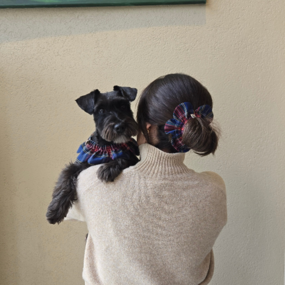 PawBow Flower Dog Collar & Mum Set — Uyumlu Setler - El Yapımı Aksesuar | Rosano Studio