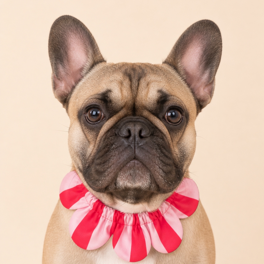 El Yapımı Köpek Yakalığı – PawBow Flower Dog Collar (navy blue stripe) - El yapımı tasarım aksesuar ve lüks hediye alternatifi 3 | Rosano Studio