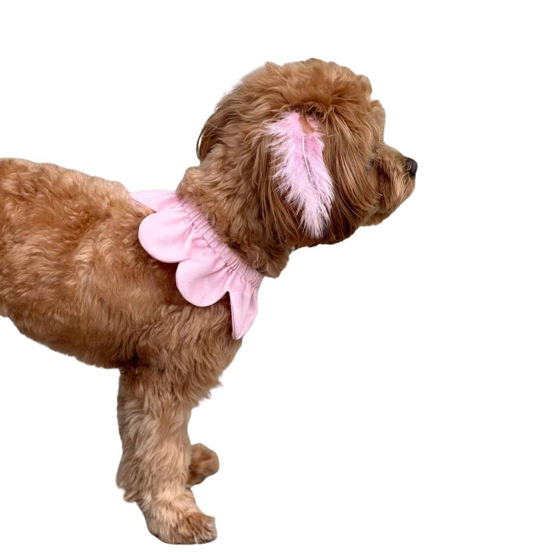 El Yapımı Köpek Yakalığı – Markamızın İmzası: Çiçek Formlu Köpek Yakalığı - El yapımı tasarım aksesuar ve lüks hediye alternatifi 2 | Rosano Studio