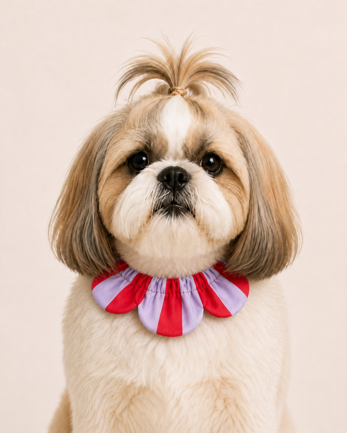 El Yapımı Köpek Yakalığı – PawBow Flower Dog Collar (Scothish) - El yapımı tasarım aksesuar ve lüks hediye alternatifi 5 | Rosano Studio