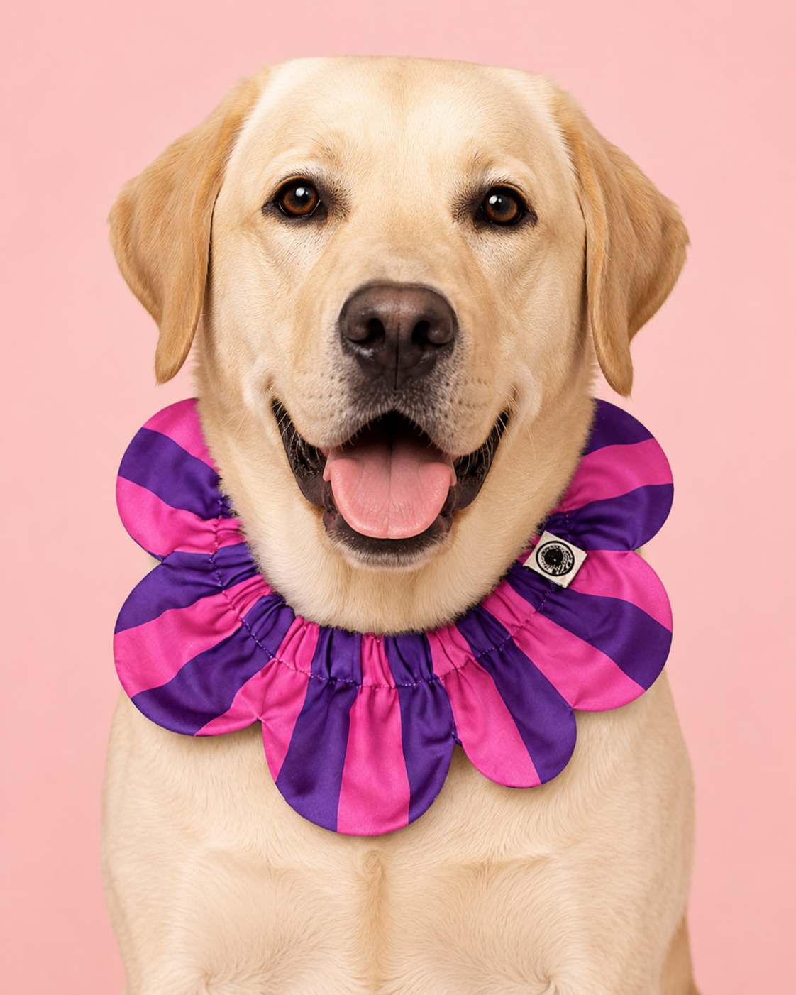 PawBow Flower Dog Collar (pink purple stripe) — Koleksiyonlar - El Yapımı Aksesuar | Rosano Studio