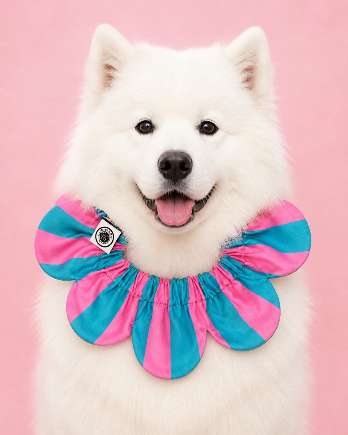 El Yapımı Köpek Yakalığı – PawBow Flower Dog Collar (aqua pink stripe) - El yapımı tasarım aksesuar ve lüks hediye alternatifi 2 | Rosano Studio