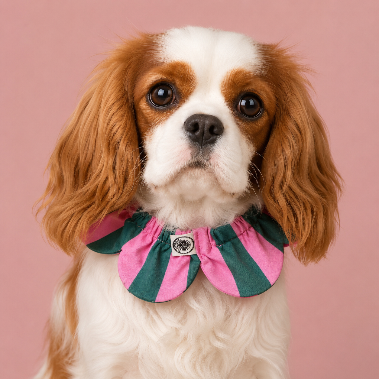 El Yapımı Köpek Yakalığı – PawBow Flower Dog Collar (green pink stripe) - El yapımı tasarım aksesuar ve lüks hediye alternatifi 1 | Rosano Studio