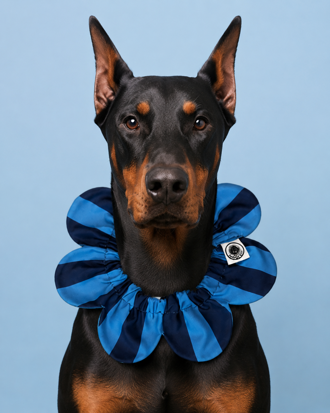 PawBow Flower Dog Collar (navy blue stripe) — Koleksiyonlar - El Yapımı Aksesuar | Rosano Studio