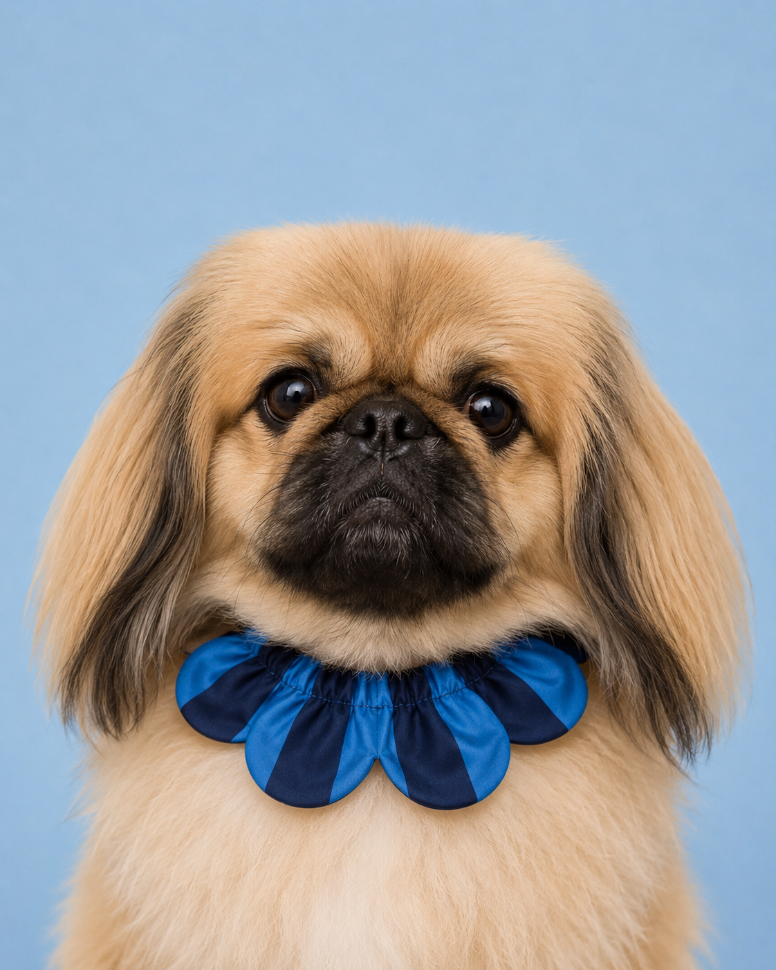 El Yapımı Köpek Yakalığı – PawBow Flower Dog Collar (navy blue stripe) - El yapımı tasarım aksesuar ve lüks hediye alternatifi 2 | Rosano Studio