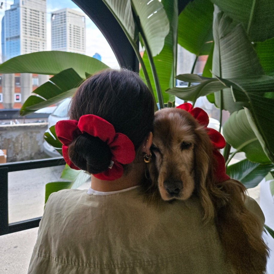 Köpek Sahiplerine Hediyeler - El Yapımı Butik Aksesuar | Rosano Studio